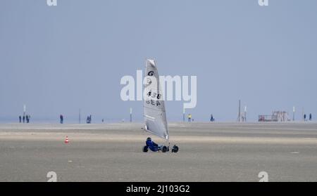 St. Peter Ording, Deutschland. 21. März 2022. Ein Strandsegler rast über den Nordseestrand. Kredit: Marcus Brandt/dpa/Alamy Live Nachrichten Stockfoto