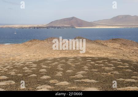 Montana Clara und La Graciosa. Archipel Chinijo Naturpark. Kanarische Inseln. Spanien. Stockfoto