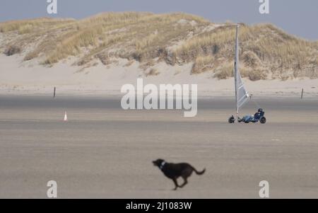 St. Peter Ording, Deutschland. 21. März 2022. Ein Strandsegler rast über den Nordseestrand. Kredit: Marcus Brandt/dpa/Alamy Live Nachrichten Stockfoto