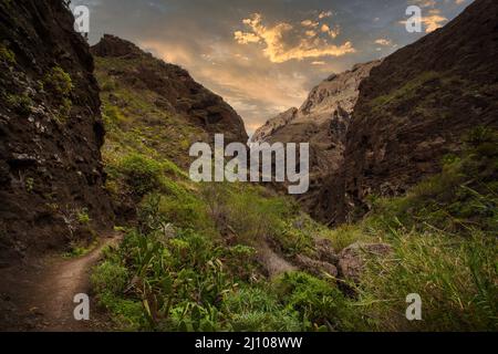 Wanderer auf Teneriffa - Wandern Sie durch den berühmten Masca Canyon auf Teneriffa, Kanarische Inseln Stockfoto