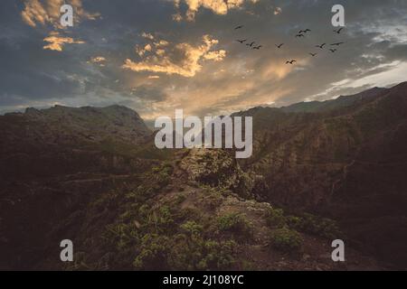 Wanderer auf Teneriffa - Wandern Sie durch den berühmten Masca Canyon auf Teneriffa, Kanarische Inseln Stockfoto