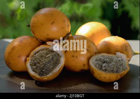 Das Foto zeigt eine exotische Frucht aus den Tropen. Die tropische Frucht wird Granadilla oder süße Passionsfrucht genannt. Granadilla ist orange in der Farbe wi Stockfoto