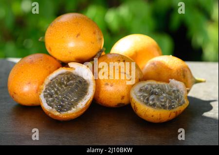 Das Foto zeigt eine exotische Frucht aus den Tropen. Die tropische Frucht wird Granadilla oder süße Passionsfrucht genannt. Granadilla ist orange in der Farbe wi Stockfoto