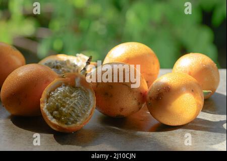 Das Foto zeigt eine exotische Frucht aus den Tropen. Die tropische Frucht wird Granadilla oder süße Passionsfrucht genannt. Granadilla ist orange in der Farbe wi Stockfoto