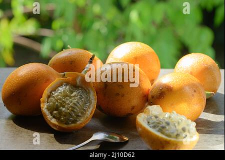 Das Foto zeigt eine exotische Frucht aus den Tropen. Die tropische Frucht wird Granadilla oder süße Passionsfrucht genannt. Granadilla ist orange in der Farbe wi Stockfoto