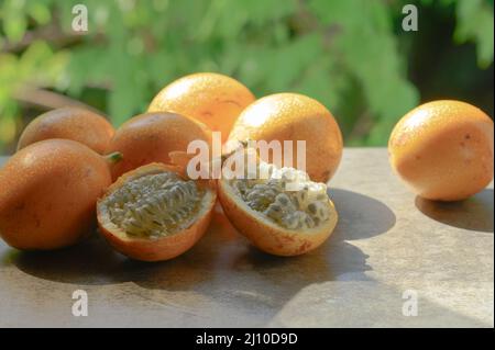Das Foto zeigt eine exotische Frucht aus den Tropen. Die tropische Frucht wird Granadilla oder süße Passionsfrucht genannt. Granadilla ist orange in der Farbe wi Stockfoto