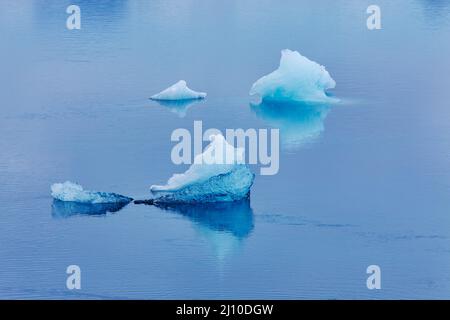 Schmelzende Eisschollen in der Lagune von Jokulsarlon, am Fuße der Eiskappe Vatnajokull, an der Südküste Islands. Stockfoto