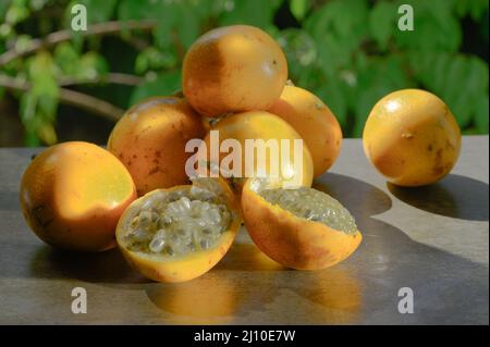 Das Foto zeigt eine exotische Frucht aus den Tropen. Die tropische Frucht wird Granadilla oder süße Passionsfrucht genannt. Granadilla ist orange in der Farbe wi Stockfoto