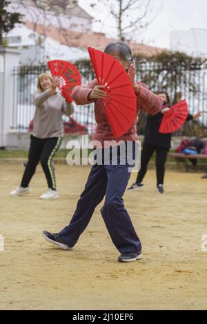 Madrid, Spanien. 27. Februar 2022: Tai Chi Lehrerin praktiziert mit ihren Schülern in einem Park Stockfoto