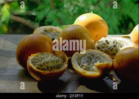 Das Foto zeigt eine exotische Frucht aus den Tropen. Die tropische Frucht wird Granadilla oder süße Passionsfrucht genannt. Granadilla ist orange in der Farbe wi Stockfoto