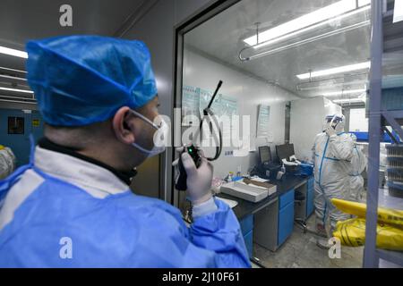 (220321) -- TIANJIN, 21. März 2022 (Xinhua) -- Geng Tian kommuniziert mit seinem Kollegen in einem Labor über Walkie-Talkie auf einer nukleardiagnostischen Testbasis im nordchinesischen Tianjin, 19. März 2022. Geng Tian, 49, ist Arzt des Ersten Krankenhauses in Tianjin. Während des jüngsten Wiederauflebens von COVID-19 ist Geng für die Durchführung von Nukleinsäuretests an einer lokalen Testbasis verantwortlich, die über eine tägliche Testkapazität von über 15.000 Röhrchen verfügt. Um den reibungslosen Betrieb mit höherer Geschwindigkeit zu gewährleisten, arbeitet Geng täglich rund um die Uhr in einem sauberen Korridor mit einer Länge von 30 Metern im Sockel. Sein Notbehelf Stockfoto