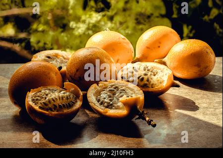 Das Foto zeigt eine exotische Frucht aus den Tropen. Die tropische Frucht wird Granadilla oder süße Passionsfrucht genannt. Granadilla ist orange in der Farbe wi Stockfoto