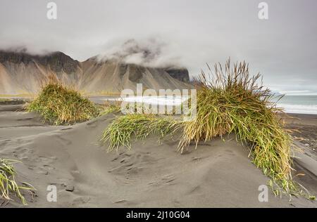 Blick über vulkanische schwarze Sanddünen bei Stokksnes auf die Berge von Vestrahorn, bei Hofn, Südostisland. Stockfoto