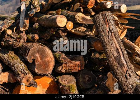 Baumstämme und Äste, die gefällt und abgesägt wurden, liegen auf einem Holzstapel Stockfoto