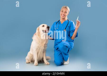 Krankenschwester In Scrubs Uniform Posiert Mit Dog Holding Spritze Stockfoto