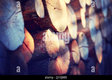 Was nennen Sie eine Gruppe von Stöcken. Nahaufnahme von Holzstämmen. Stockfoto