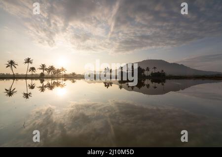 Wunderschöner, wolkiger Morgenwolkenaufgang über einer Reihe von Kokospalmen und Hügeln Stockfoto