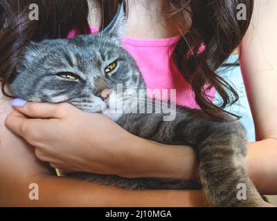 Frau streichelte ihre schöne flauschige Katze. Haustiere, Freundschaft, Vertrauen, Liebe, Lifestyle-Konzept. Freund des Menschen. Tierliebhaber Stockfoto