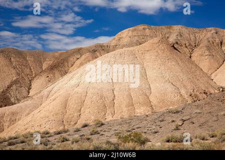 Lehmbetten entlang des Amargosa River Trail, Amargosa River Natural Area, Barstow Field Office Bureau of Land Management, Kalifornien Stockfoto