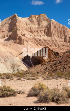 Desert Canyon entlang des Amargosa River Trail, Amargosa River Natural Area, Barstow Field Office Bureau of Land Management, Kalifornien Stockfoto