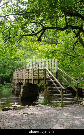Vertikale Aufnahme einer hölzernen Treppenbrücke über den Fluss im Wald. Stockfoto