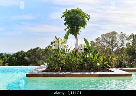 Privater Swimmingpool, gepflegte tropische üppige Vegetation, Bäume vor blauem bewölktem Himmel. Torrevieja, Alicante, Costa Blanca, Espana, Spanien Stockfoto