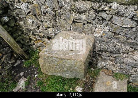 Eine Ordnance Survey-Bankmarke, die an einem Kalksteinstel in einer Trockensteinmauer gekratzt ist, Derbyshire, England, Großbritannien Stockfoto
