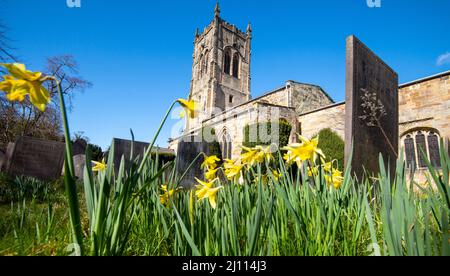 Frühling in der St. Bartholomew's Church im Elvaston Castle in Derbyshire, England Stockfoto