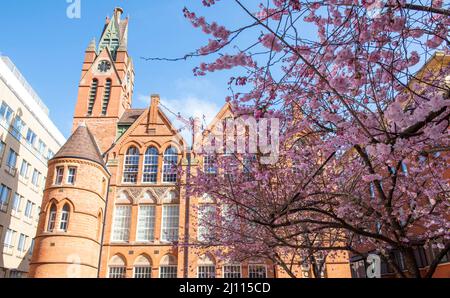 Frühling in Oozells Square, Birmingham England Stockfoto