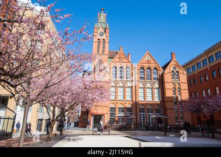 Frühling in Oozells Square, Birmingham England Stockfoto