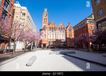 Frühling in Oozells Square, Birmingham England Stockfoto