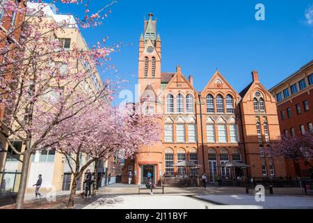 Frühling in Oozells Square, Birmingham England Stockfoto