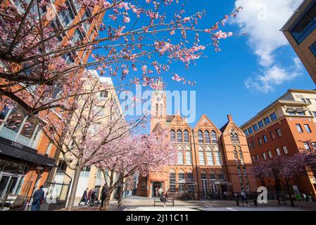 Frühling in Oozells Square, Birmingham England Stockfoto