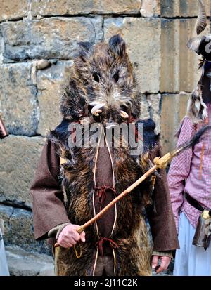 Enciso, Spanien – 5. März 2022: Mann, der mit Häuten und dem Kopf des Wildschweins verkleidet ist. Holzstab mit dem Schwanz eines Wildschweins am Ende. Traditioneller Karneval von Enciso. Stockfoto