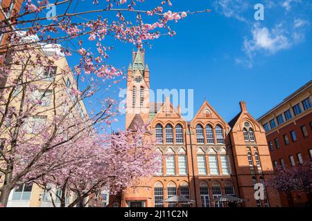 Frühling in Oozells Square, Birmingham England Stockfoto