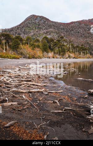 Huinfiuca See im Herbst. Nationalpark Villarrica. Region Araucania. Chile. Stockfoto