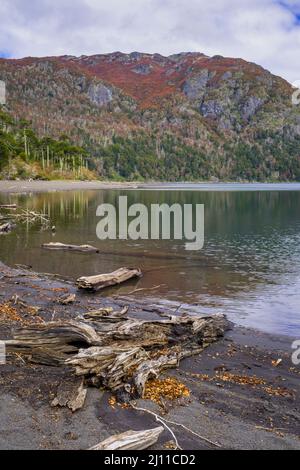 Huinfiuca See im Herbst. Nationalpark Villarrica. Region Araucania. Chile. Stockfoto