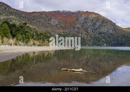 Huinfiuca See im Herbst. Nationalpark Villarrica. Region Araucania. Chile. Stockfoto