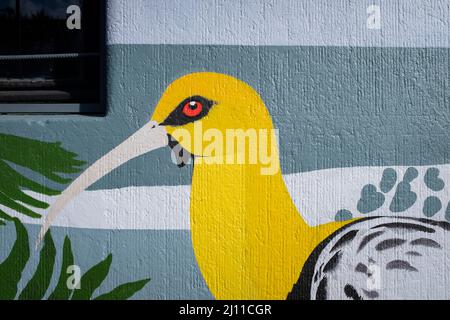 Schwarzgesichtes Ibis (Theristicus melanopis) an einer Wand gemalt. Puerto Varas. Provinz Llanquihue. Los Lagos. Chile. Stockfoto