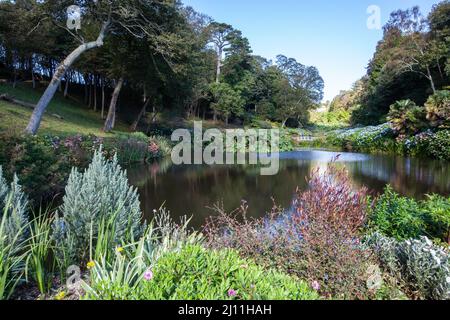 Trebah Gärten Stockfoto