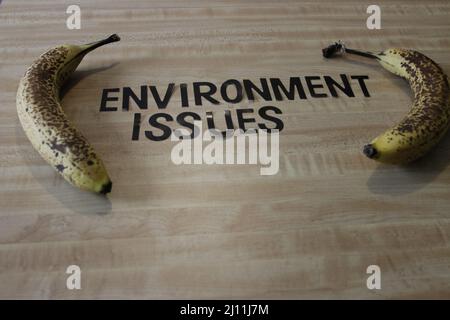 RECYCELN Sie RETHING REDUZIEREN Sie Text Holzgabeln und Papierbecher mit Platten auf farbigem Hintergrund. Umweltfreundliches Einweggeschirr. Wird in Fast Food verwendet Stockfoto