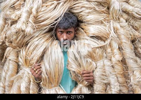 Ein Arbeiter trägt schwere Jutefasern auf der Schulter in Manikganj, Bangladesch. Jute ist die goldene Faser von Bangladesch. Achtzig Prozent der weltweit hochwertigen Jute wächst in Bangladesch. Jute wird bei der Herstellung von Tuch, Tuch, Seilen, Teppich-Trägertuch, Büchsenbeuteln und vielen anderen nützlichen Dingen verwendet. Jutebeutel eignen sich sehr gut zum Verpacken von Lebensmittelkörnern. Bangladesch verdient viel Fremdwährung, indem es Jute- und Juteprodukte ins Ausland exportiert. Bangladesch. Stockfoto