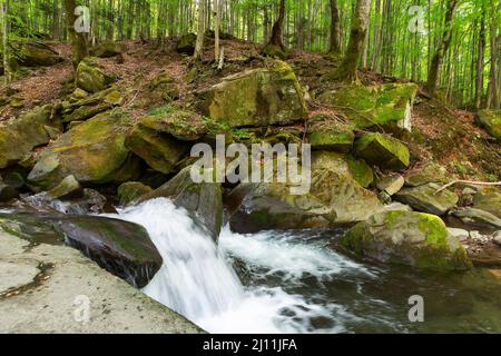 Shypot-Bach im Wald. Erfrischende Landschaft im Frühling. Wasser fließt durch Felsen und Felsbrocken. Buchenwald auf dem Hügel Stockfoto