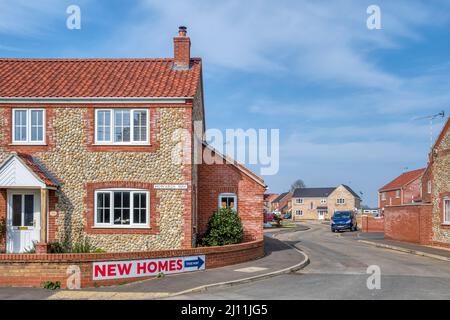 Neue Häuser zum Verkauf im Norfolk Dorf Gayton. Stockfoto