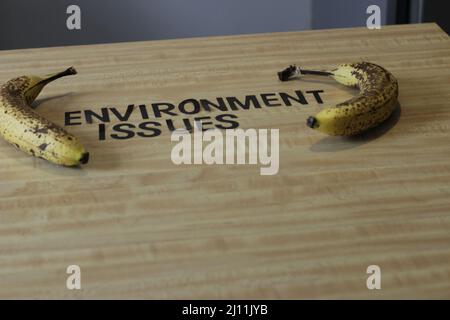 RECYCELN Sie RETHING REDUZIEREN Sie Text Holzgabeln und Papierbecher mit Platten auf farbigem Hintergrund. Umweltfreundliches Einweggeschirr. Wird in Fast Food verwendet Stockfoto