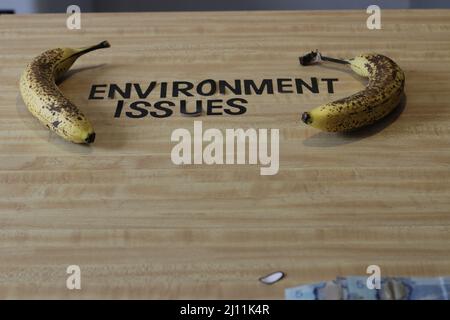 RECYCELN Sie RETHING REDUZIEREN Sie Text Holzgabeln und Papierbecher mit Platten auf farbigem Hintergrund. Umweltfreundliches Einweggeschirr. Wird in Fast Food verwendet Stockfoto