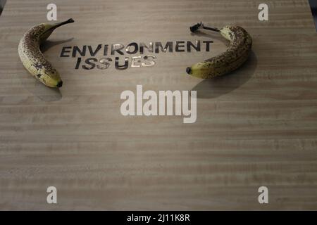 RECYCELN Sie RETHING REDUZIEREN Sie Text Holzgabeln und Papierbecher mit Platten auf farbigem Hintergrund. Umweltfreundliches Einweggeschirr. Wird in Fast Food verwendet Stockfoto