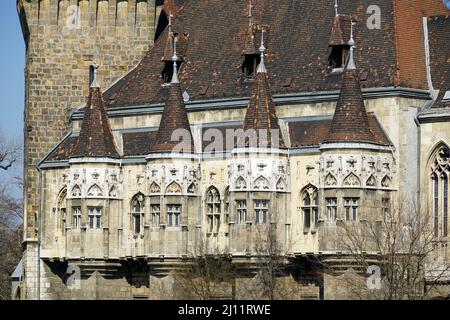 Burg Vajdahunyad (Vajdahunyad vára), Burg Vajdahunyad, Stadtpark (Városliget), Bezirk XIV, Budapest, Ungarn, Magyarország, Europa Stockfoto