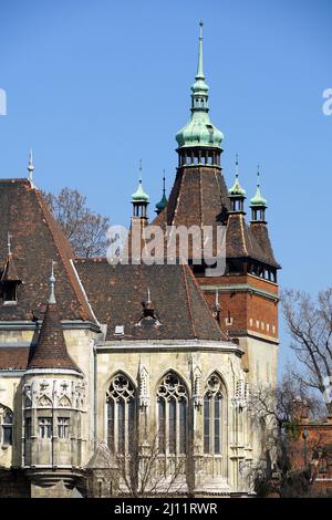 Burg Vajdahunyad (Vajdahunyad vára), Burg Vajdahunyad, Stadtpark (Városliget), Bezirk XIV, Budapest, Ungarn, Magyarország, Europa Stockfoto