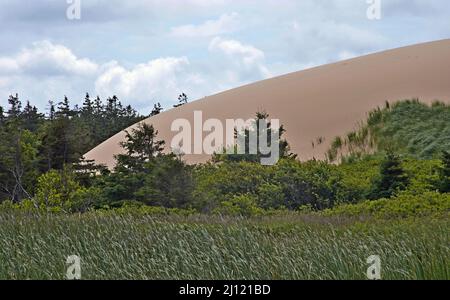 Parabolsanddüne, Greenwich, Prince Edward Island National Park, Kanada Stockfoto